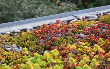the cost of Whitepits green roof installation