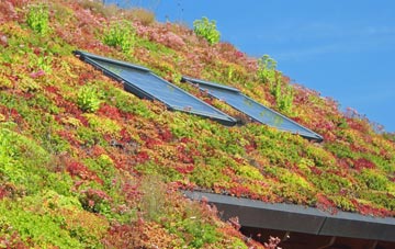 Whitepits living roof systems