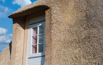 Whitepits thatch roof disadvantages