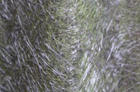 Whitepits fibreglass roof work